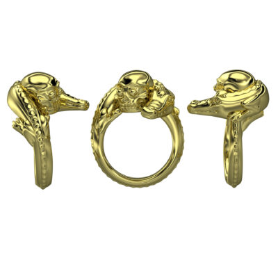 Photo-realistic image of the ring