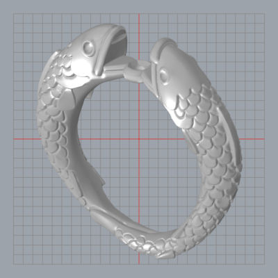 3D model of Davids Ring