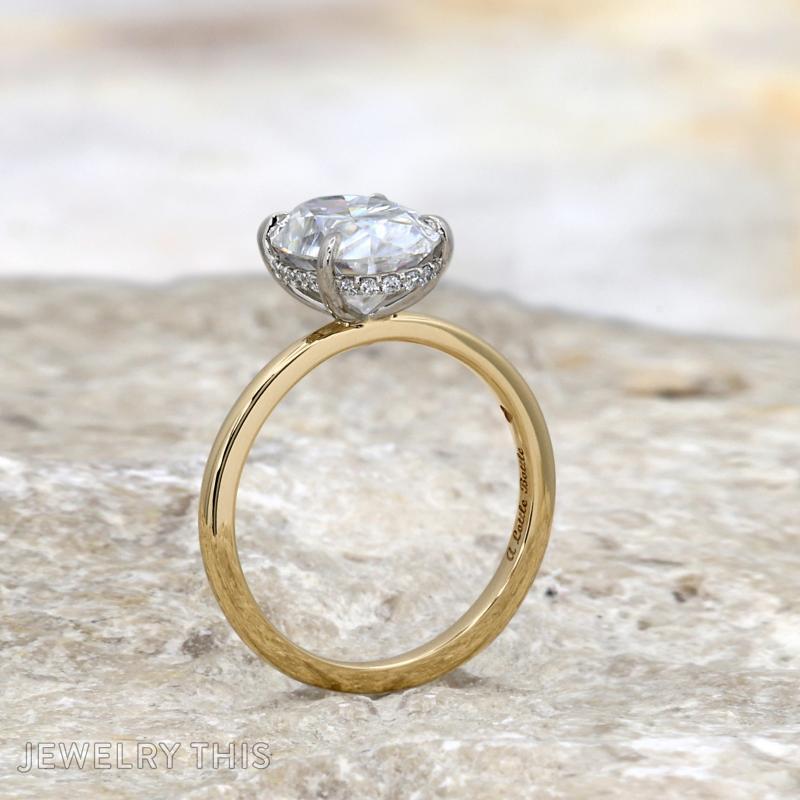 hiddenhalo oval moissanite twotone